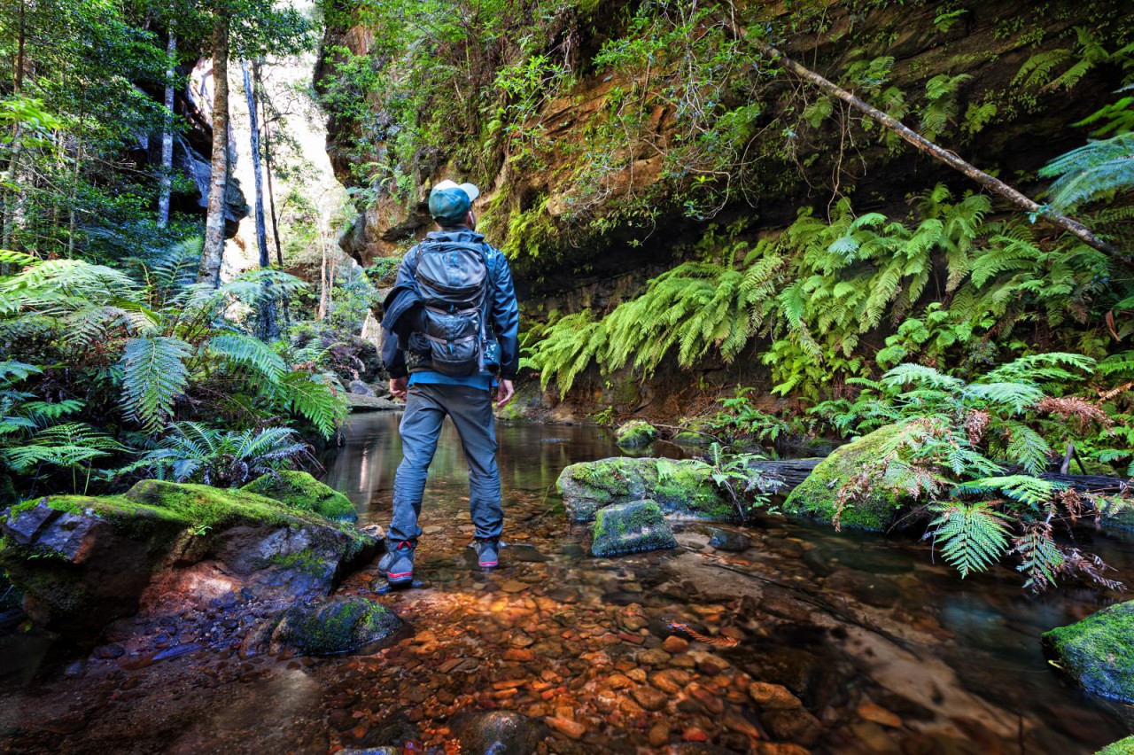 Nature walks near me plumber ezi plumbing 0448467788
